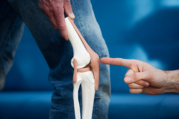 The Genetic Link Between Osteoarthritis and Cartilage Breakdown
