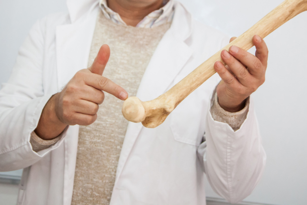 Comprehensive Guide to Bone Density: Science-Backed Tips to Build and Protect Strong Bones at Any Age