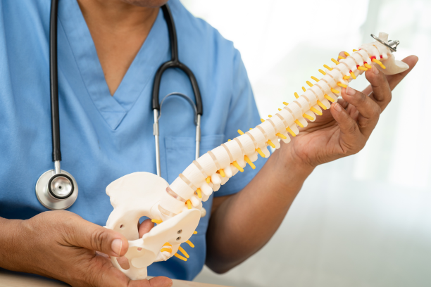 Why Spinal Mobility Exercises Are Just as Important as Core Strengthening