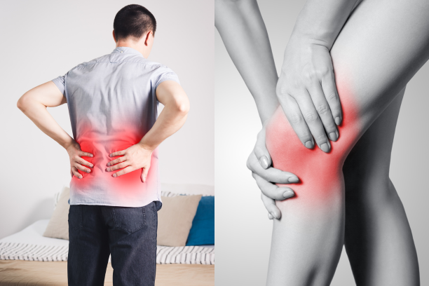 Back Pain and Knee Pain Are More Connected Than You Think